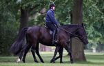 Prince Andrew rides a horse on the Royal Estate, in Windsor, Britain, June 1, 2022.   