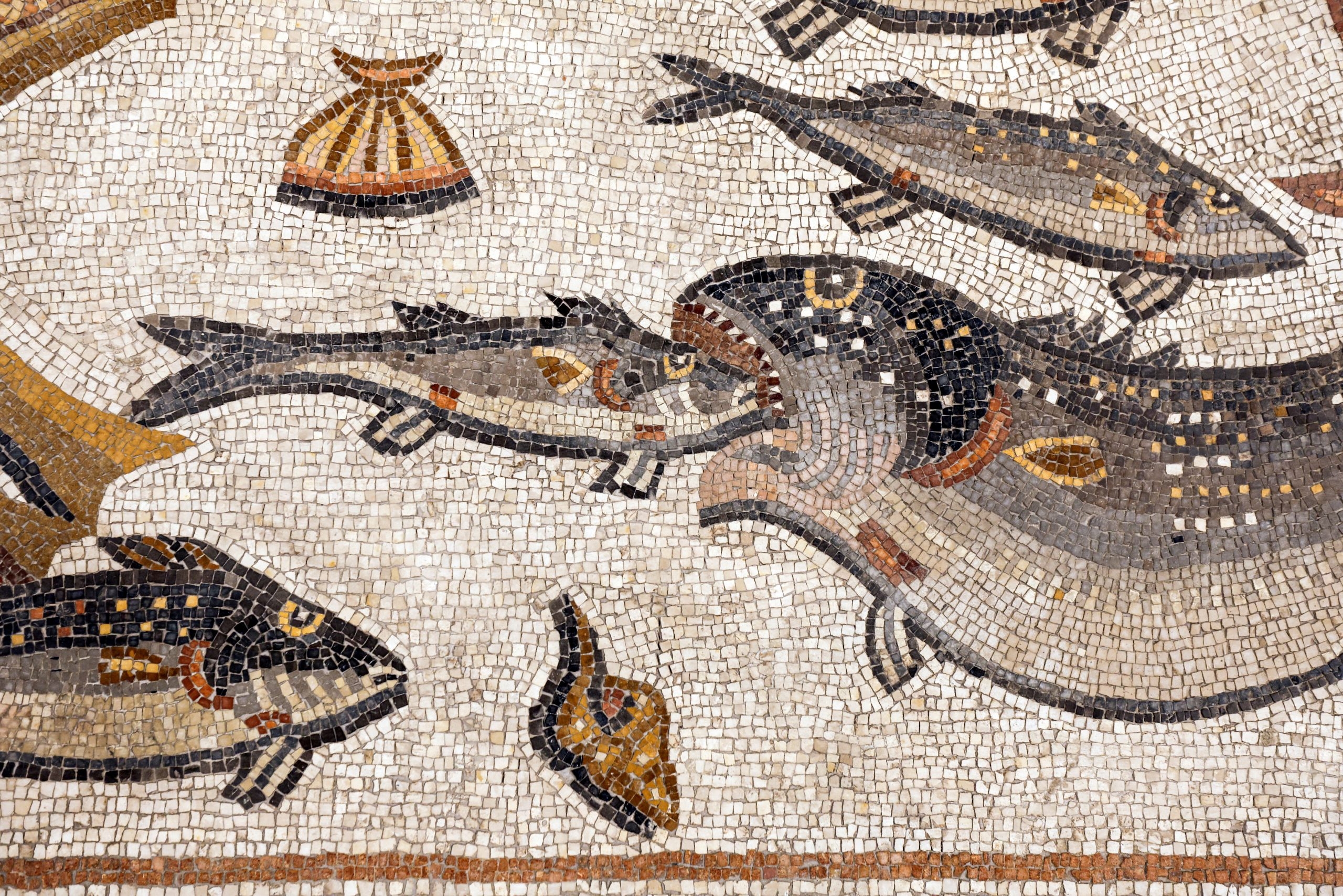 The Roman Mosaic from Lod, Israel