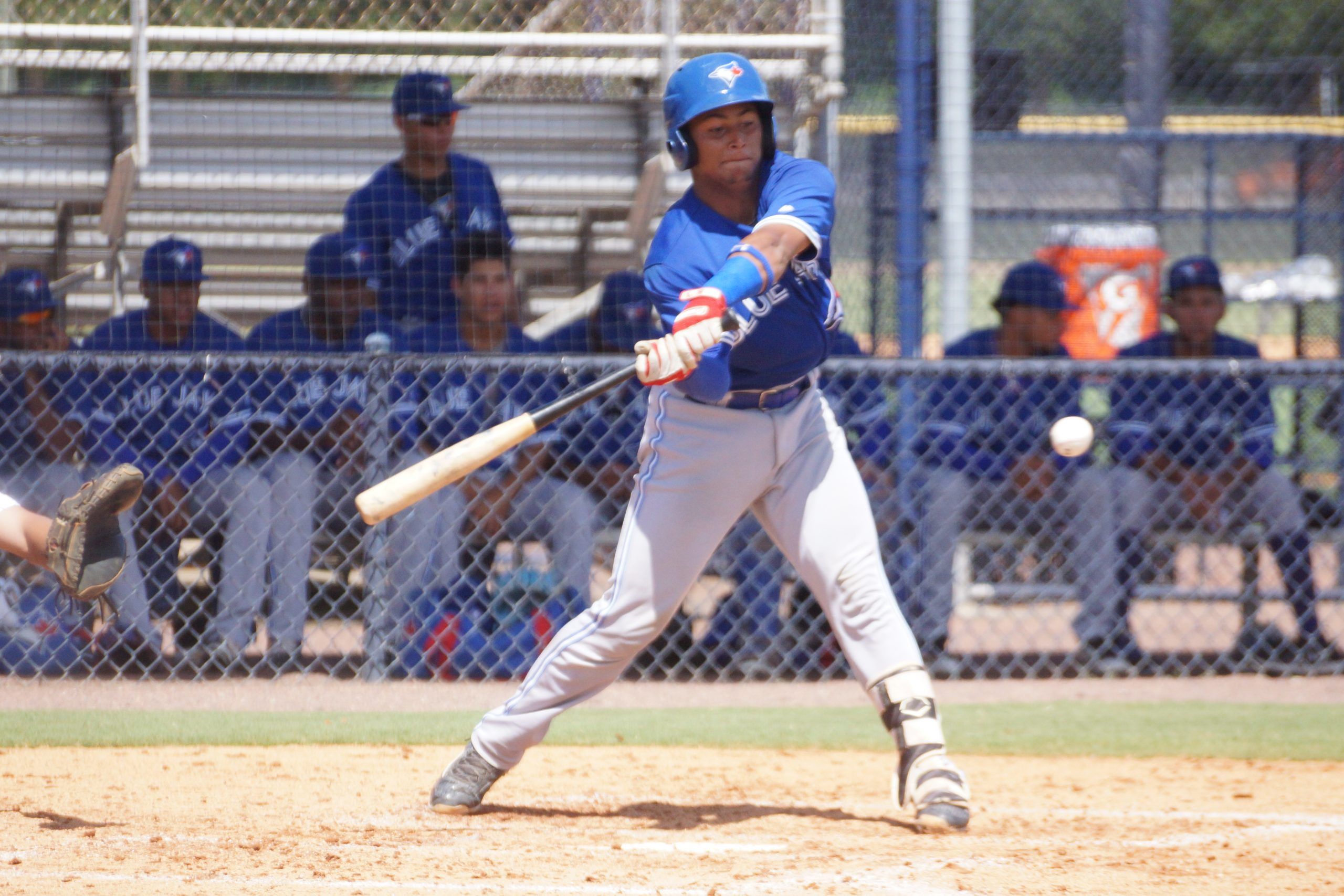 Blue Jays fall to Tigers in top prospect Gabriel Moreno's MLB