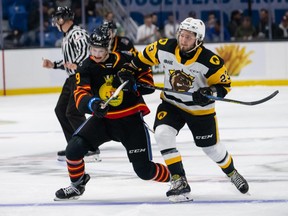 Saint John Sea Dogs and Mason McTavish (23) of the Hamilton Bulldogs battle at the 2022 Memorial Cup at Harbour Station arena in Saint John, NB.