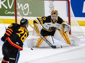 William Dufour (28) of the Saint John Sea Dogs shoots the puck on Marco Costantini (33) of the Hamilton Bulldogs at the 2022 Memorial Cup on June 20, 2022, at Harbour Station in Saint John, NB.