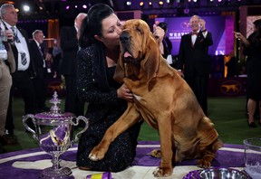 Trumpet, a Bloodhound, is kissed his handler Heather Helmer after winning “Best in Show” at the 146th Westminster Kennel Club Dog Show at the Lyndhurst Estate in Tarrytown, New York, U.S., June 22, 2022. REUTERS/Mike Segar
