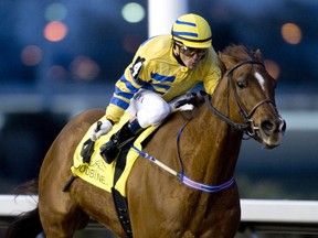 Woodbine Racetrack. Jockey Eurico Da Silva guides Pink Lloyd to his 8th straight stake win by capturing the Kennedy Road stakes for Entourage Stable and trainer Robert Tiller.