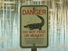 Danger sign warning people not to feed alligators in lake.