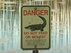 Danger sign warning people not to feed alligators in lake.