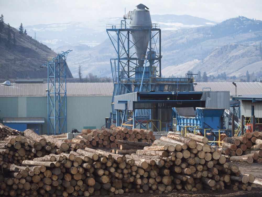 OPINION: Softwood lumber dispute is bad for consumers and producers ...