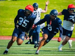 DB Royce Metchie chases down a ball-carrier at Argonauts 2022 training camp in Guelph. Argonauts.ca photo