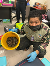 An agent in Bangkok shows a basket of turtles recovered from the luggage of two women. Department of Natural Parks and Wildlife Conservation