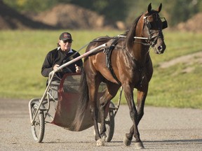 Part-owner Jack Darling trains Bulldog Hanover in a Sept. 2021 file photo. Bulldog Hanover became the first harness racing horse to finish in under 1:46 on July 16, 2022.