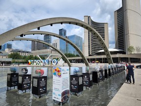 Die Kunstinstallation des Brain Project am Nathan Phillips Square in Toronto ist zu sehen, bevor sie zerstört wird.