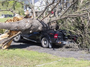A crushed vehicle from a fallen tree from the aftermath of a suspected tornado is shown in Tweed on Monday, July 25, 2022.