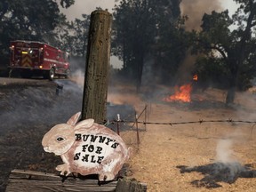 A sign indicating rabbits for sale is posted on a pole as the oak fire rumbles through the area near Mariposa, Calif., Saturday, July 23, 2022.