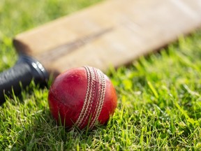 Cricket bat and ball on cricket pitch