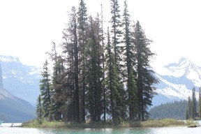 Spirit Island on Maligne Lake in Jasper National Park. IAN SHANTZ/TORONTO SUN