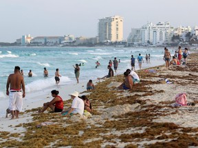 Tourists are seen on a beach covered with seaweed in Cancun, Mexico June 24, 2019.