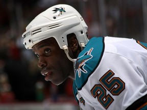 According to multiple reports, former Shark Mike Grier was a frontrunner to replace San Jose GM Doug Wilson.
