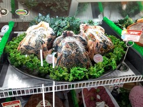 The tattooed chicken on display at Omega Mart in Las Vegas.