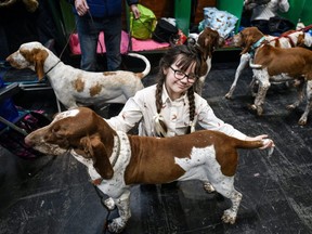 A young girl kneels with her bracco Italiano at the Cruft's dog show at the NEC Arena in Birmingham, England, March 6, 2020.