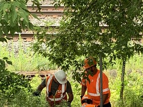 Work crews at the scene the morning after a child, believed to be four years old, was struck and killed by a Go Train near Lolita Gardens and Silver Creek Blvd. in Mississauga on Wednesday, July 27, 2022.