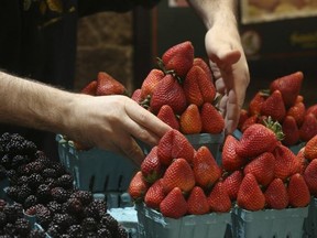A worker at Mario Aricci's Ponesse Foods at St. Lawrence Market places strawberries for sale on April 20, 2022.