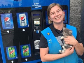 Walmart employee holding kitten rescued from vending machine.