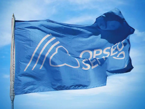 Ontario union OPSEU flag.