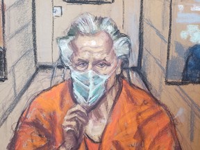 Canadian fashion designer Peter Nygard appears via video feed during his bail hearing in connection with multiple sexual assault charges in a courtroom in Toronto, Ontario, Canada, in this courtroom sketch Jan. 6, 2022.