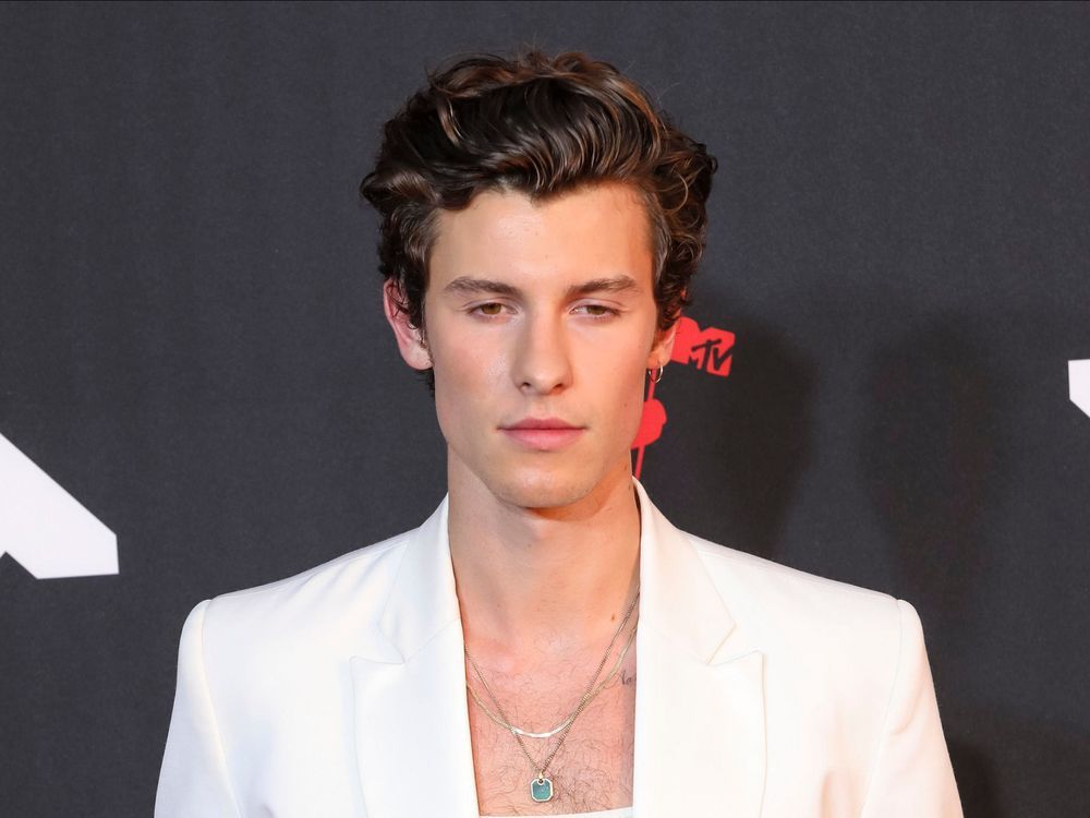 Shawn Mendes Postpones World Tour To Focus On Mental Health Toronto Sun 1648