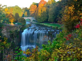 Reservations are required all summer and into fall for the ever-popular Webster Falls.