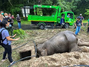 A veterinarian and rescue workers rescue a mother elephant after it fell into a manhole in Khao Yai National Park, Nakhon Nayok province, Thailand, July 13, 2022.