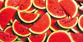A knife and a gun came out at an Arkansas watermelon festival – Files