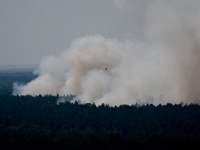 Smoke billows over Grunewald forest in Berlin after a large fire broke out in the popular forest following an explosion in a police munitions storage site on August 4, 2022.