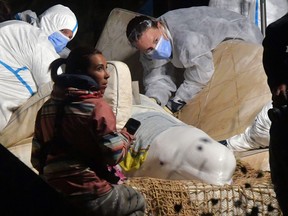 Veterinarians take care of a beluga whale that was stranded in the River Seine at Notre Dame de la-Garenne, northern France, on August 9, 2022.