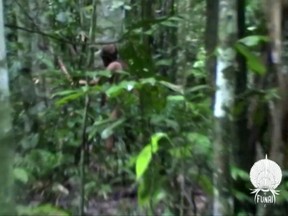 Grab taken from a file video taken on March 11, 2011, and released on July 18, 2018, by Brazil's National Indian Foundation (FUNAI) showing a tribesman in a loincloth, believed to be the last known survivor of an isolated Amazonian community in Brazil and who is known as "Tanaru Indian" or "the man of the hole," as he cuts down trees in the forest with an axe.