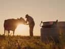 Silhouette of a farmer, standing near a cow.  Milk cans in the foreground.