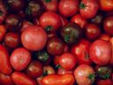 Different sizes and varieties of tomatoes. 