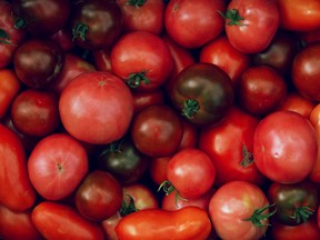 Different sizes and varieties of tomatoes.