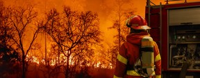 A man told authorities he tried to burn a spider with a lighter after he was arrested instead for igniting a 60-acre wildfire in drought-stricken Utah, according to the New York Post.