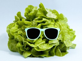 sunglasses lettuce