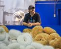 Derek Brazier, of Tiny Tom's Donuts, was setting up ahead of the CNE at the Food Building in Toronto, Ont. on Wednesday Aug. 10, 2022. 