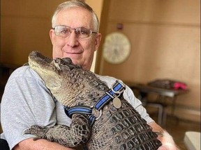 Joie Henney holds WallyGator after dropping off food donations for a local charity last summer.