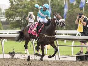 Jockey Rafael Hernandez celebrates as he rides Moira over the finish line to win the 163rd running of the $1-million Queen’s Plate at Woodbine Racetrack yesterday.