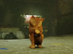 The new Stray video game features an adventurous orange tabby.