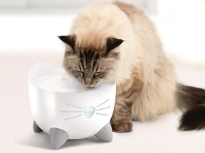 The PIXI Cat Fountain holds up to 2.5 litres of water and has a filter to by remove dust and debris that would normally settle on a stagnant bowl.  $49.99. Visit catit.ca.