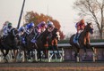 This year’s Breeders’ Cup Mile goes Nov. 5. This weekend’s stakes at Woodbine have berths on the line.  USA TODAY SPORTS