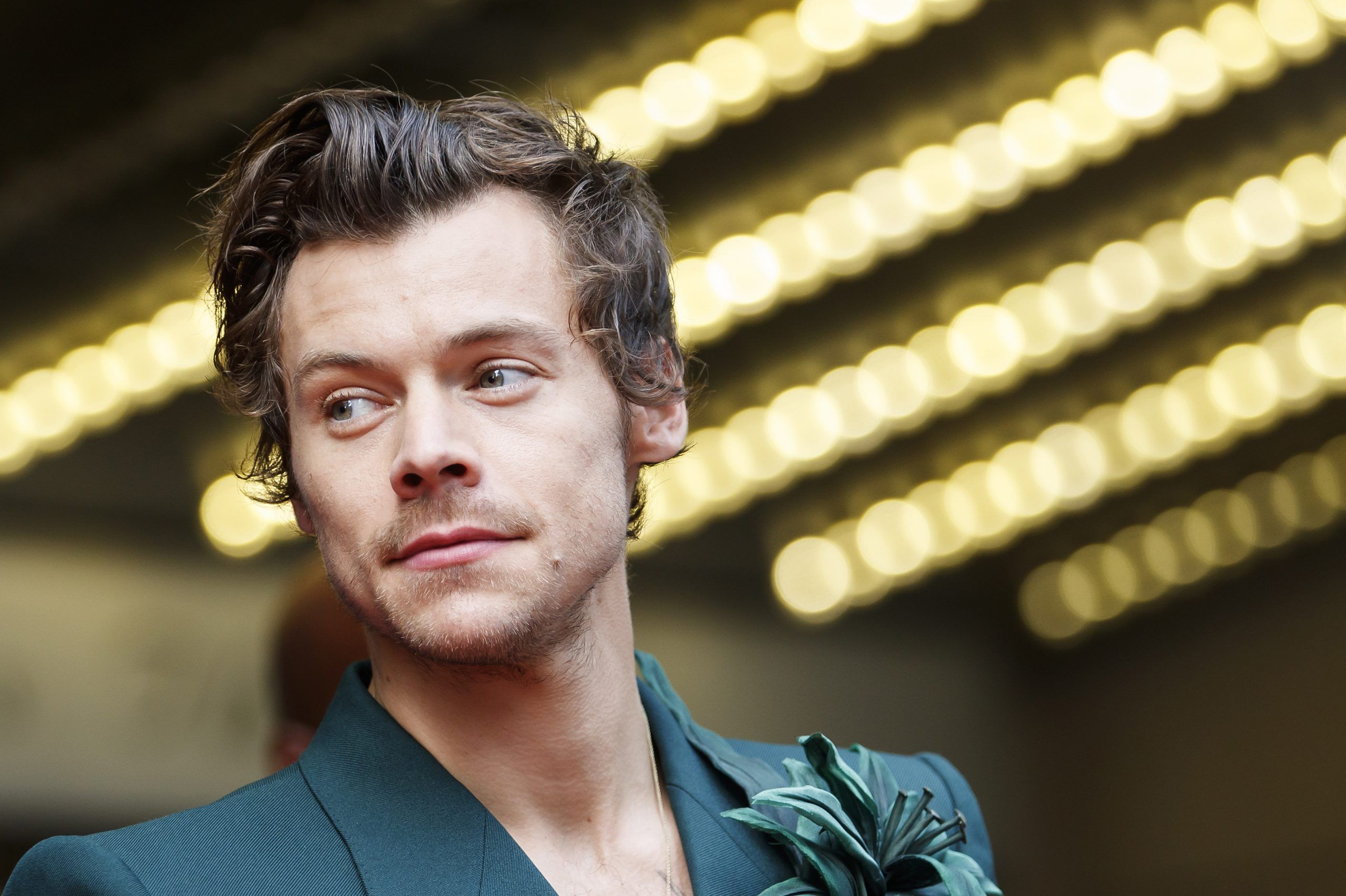 Harry Styles says 'wasted time' makes 'My Policeman' so 'devastating ...