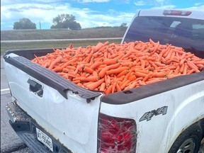 A pickup truck bed full of carrots netted a driver an insecure load charge, OPP say.
