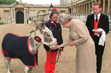 Britain's Queen Elizabeth II feeds a sugarlump to Tinker the Donkey, watched by Rachel Dancer from Telford, Shropshire, 12 June, after the Queen met Rachel and her friend Holly Smith from Sheffield and their donkeys Joshua and Tinker, who walked from Balmoral in Scotland to Buckingham Palace in aid of Michael Elliot trust animal sanctuary. (PAUL VICENTE/AFP via Getty Images)