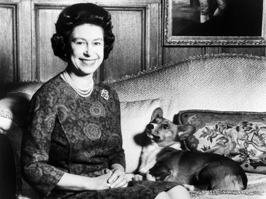 Headshot taken on February 26, 1970 of Queen Elizabeth II posing with her dog. (Photo by CENTRAL PRESS / AFP) (Photo by -/CENTRAL PRESS/AFP via Getty Images)
