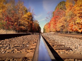 A view down the railroad tracks through a woods in the U.S. on a fall day.